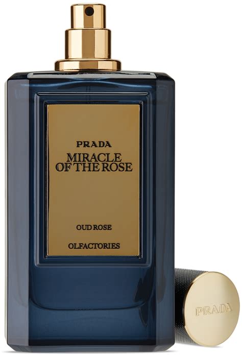 prada by night|Prada miracle of the rose.